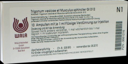 TRIGONUM vesicae et Musculus sphinc.GL D 12 Amp. 10X1 ml