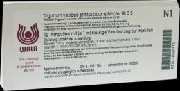 TRIGONUM vesicae et Musculus sphincter GL D 5 Amp. 10X1 ml