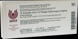 TUNICA mucosa intestini tenuis GL D 6 Ampullen 10X1 ml