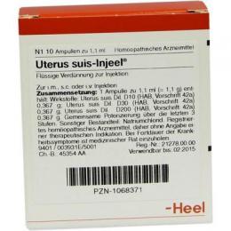 UTERUS SUIS Injeel Ampullen 10 St