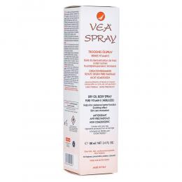 VEA Spray 100 ml Spray