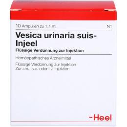 VESICA URINARIA suis-Injeel Ampullen 10 St.