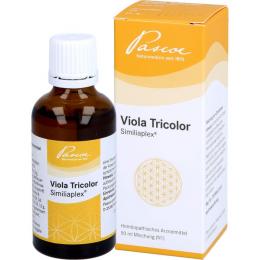 VIOLA TRICOLOR SIMILIAPLEX Mischung 50 ml