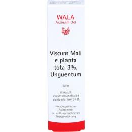 VISCUM MALI e planta tota 3% Unguentum 30 g