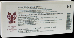 VISCUM MALI e planta tota D 12 Ampullen 10X1 ml