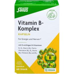 VITAMIN B KOMPLEX vegetabile Kapseln Salus 60 St. (22 g)