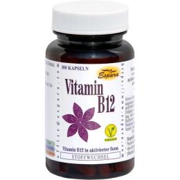 VITAMIN B12 KAPSELN 100 St. (27 g)
