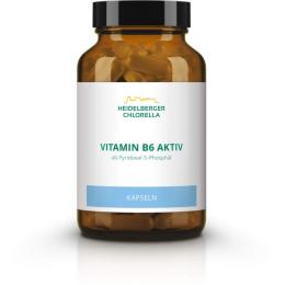 VITAMIN B6 KAPSELN 120 St. (54 g)