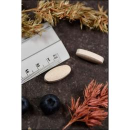 VITAMIN C 1000 Plus KAL Retardtabletten 250 St.