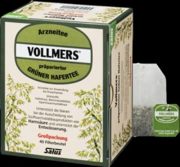 VOLLMERS präparierter grüner Hafertee Filterbeutel 40 St