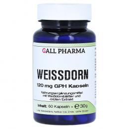 WEISSDORN 120 mg GPH Kapseln 60 St Kapseln