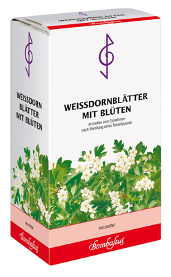 WEISSDORNBLTTER m.Blten Tee 90 g