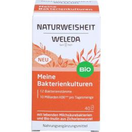 WELEDA Naturweisheit Meine Bakterienkulturen Kaps. 40 St. (22,9 g)