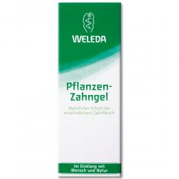 Ein aktuelles Angebot für WELEDA Pflanzen Zahngel 75 ml Gel Entzündung im Mund & Rachen - jetzt kaufen, Marke Weleda AG.