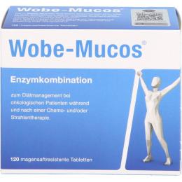 WOBE-MUCOS magensaftresistente Tabletten 120 St.