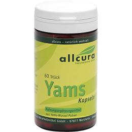 YAMS Kapseln 250 mg Yamspulver 60 St. (30 g)