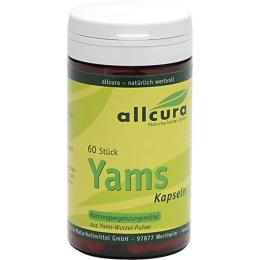 YAMS Kapseln 250 mg Yamspulver 60 St.