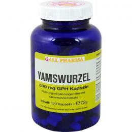 YAMSWURZEL 500 mg GPH Kapseln 120 St.