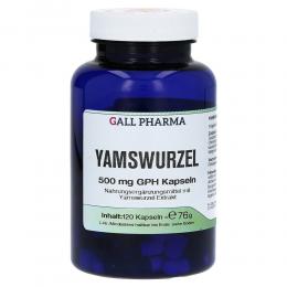 Ein aktuelles Angebot für YAMSWURZEL 500 mg GPH Kapseln 120 St Kapseln Nahrungsergänzungsmittel - jetzt kaufen, Marke Hecht Pharma GmbH.