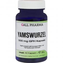 Ein aktuelles Angebot für YAMSWURZEL 500 mg GPH Kapseln 60 St Kapseln  - jetzt kaufen, Marke Hecht Pharma GmbH.