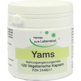 YAMSWURZEL KAPSELN 120 St. (66 g)